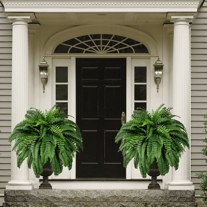 Last Day Discount：80% OFF UV Resistant Lifelike Artificial Boston Fern 🪴