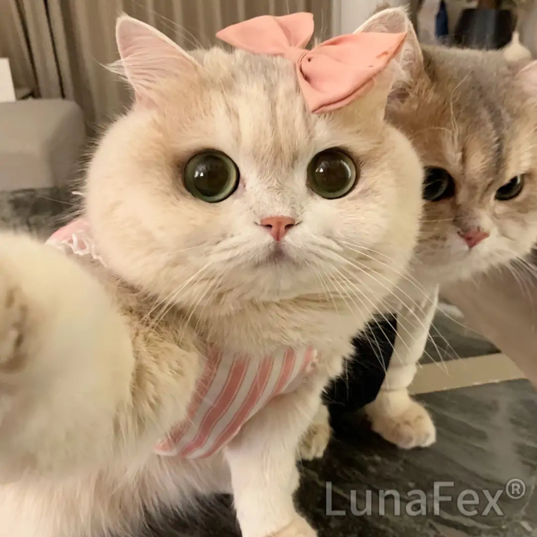 【LunaFex® Official Store】LUNA the Robot Cat 😺& TOBY the Robot Dog🐶 – Perfect Pet Duo for Kids & Family – Last Day Discount: Save 75%