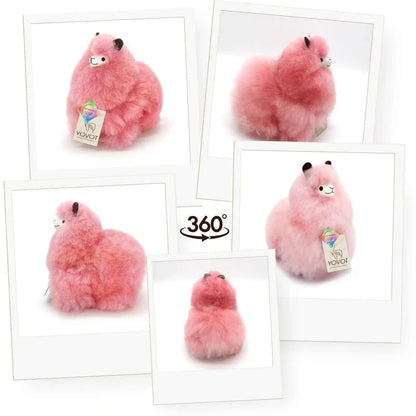 Yovot- Hazelnut - Alpaca Stuffed Animal (Australia)