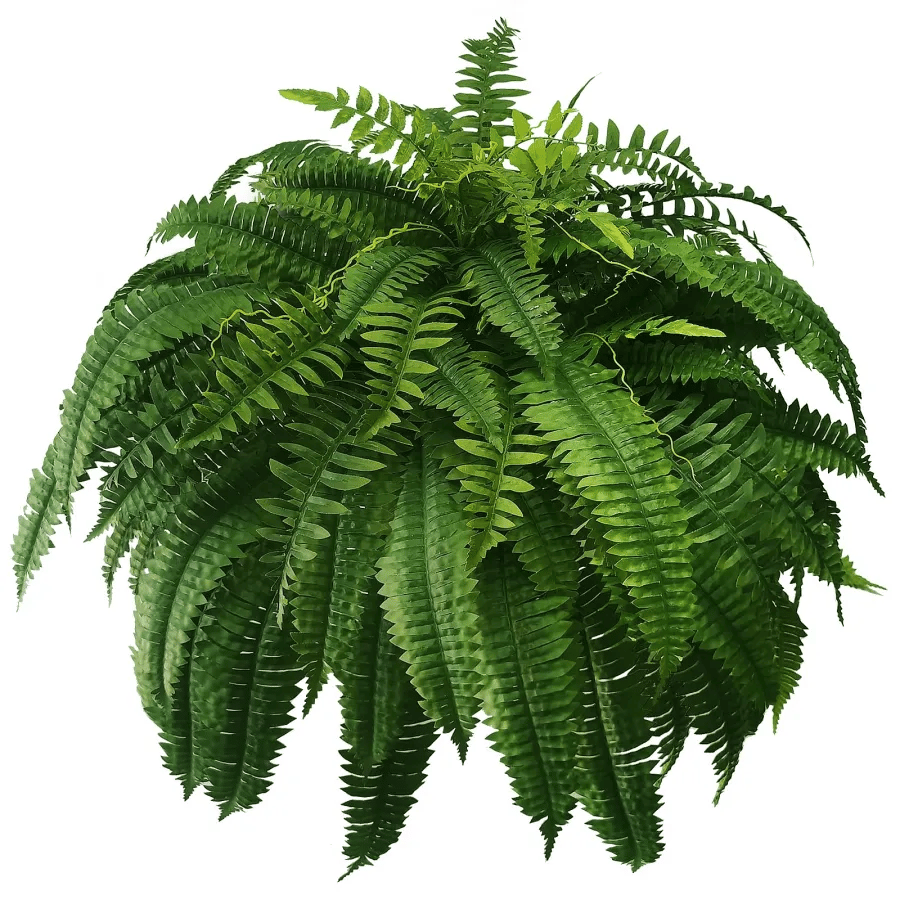 Last Day Discount：80% OFF UV Resistant Lifelike Artificial Boston Fern 🪴